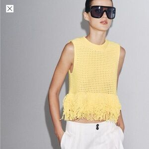 Zara fringe checkered knit top